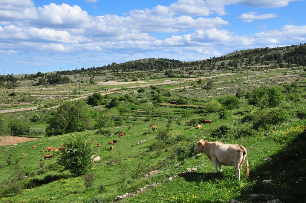 Casa Rural El Boixar - El Mirador Bojar Zewnętrze zdjęcie